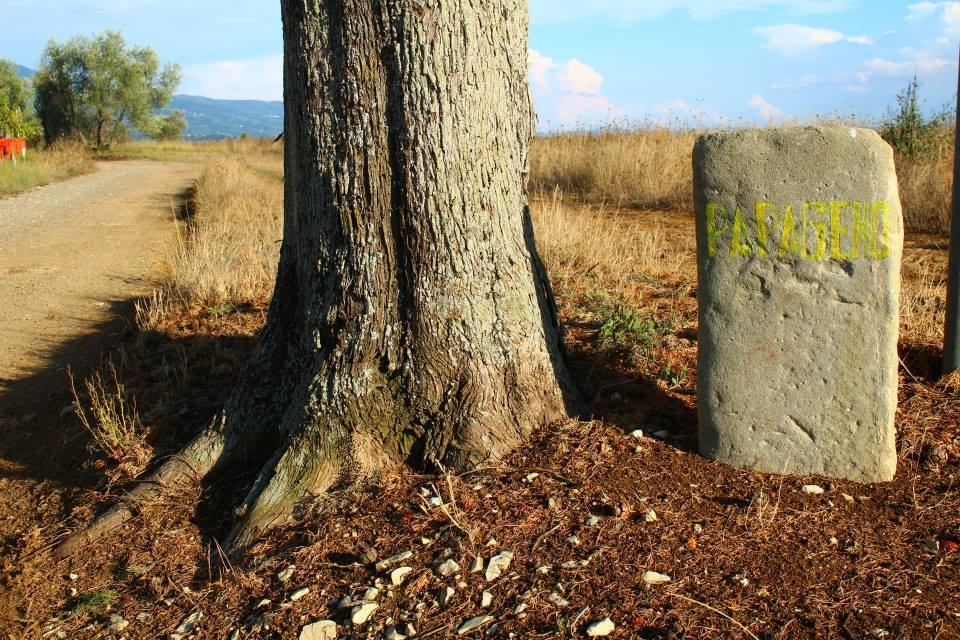 Agriturismo Papageno Rignano sullʼArno Eksteriør bilde